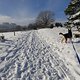 Traumpfad Wacholderweg, durch die Höhe von 500m/NN lag dort noch ordentlich Schnee! Hundi ist ausgeflippt :)
Einkehr in die Wacholderhütte lohnt sich!!
https://www.traumpfade.info/pfad/traumpfad/wacholderweg/