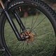SingleBe - NoisyBee - Custom 29er