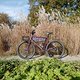 L1000024 (MTB-News)