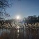 Winterpokal-Aktivität