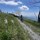 IMG 8585