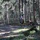 IMG 2537