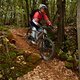 Ligure2013-04-169