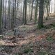 Herrenrunde 2014 01 7