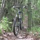 IMG 3053