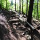 SDC10179 kl