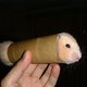hamster roll