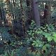 DSC01231