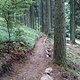 Flowtrail feldberg