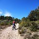 TransVerdon2016 (259)