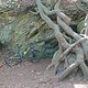 DSC 0682