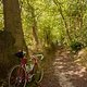 Ritchey SwissCross 20240908 02