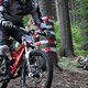 IMG 5643
