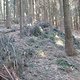 IMG 0965Large 1272301232