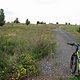 IMG 1238