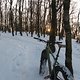 IMG 1657