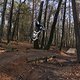 IMG 1790