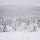 20160117-06L Osterzgebirge