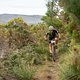 Rider cycling through thick fynbos during stage 1 of the 2019 Absa Cape Epic Mountain Bike stage race held from Hermanus High School in Hermanus, South Africa on the 18th March 2019.

Photo by Xavier Briel/Cape Epic

PLEASE ENSURE THE APPROPRIATE