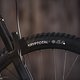 Die Sun Ringlé-Laufräder an unserem Testbike sind mit Continental Kryptotal-Reifen bestückt