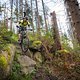 20240915-21 Harz
