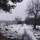 IMG 20250110 112657