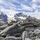 IMG 4116