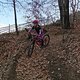 IMG 20250310 163821