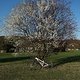 Spring 4