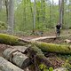 FranztrailSkinny1stride#1