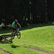 IMG 5264