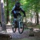 Bild00891