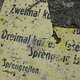 10.VolleDeckungEt2