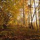 Herbst2K10Bild006