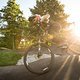 Weil im Dorf Pumptrack Opening Deutsche Pumptrack Tour - DPT Series