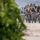 The lead bunch during stage 6 of the 2018 Absa Cape Epic Mountain Bike stage race held from Huguenot High in Wellington, South Africa on the 24th March 2018

Photo by Greg Beadle/Cape Epic/SPORTZPICS

PLEASE ENSURE THE APPROPRIATE CREDIT IS GIVEN