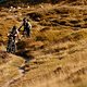 Eine Vielzahl an Trails, Bikeparkstrecken und Wanderwege, die ebenfalls befahren werden dürfen.