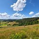 Auf dem Stübenwasen war die Welt noch in Ordnung. Kurz danach saß ich mit gebrochenem Schlüsselbein am Wegrand und musste auf die Bergwacht warten.
