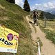 IMG 4705