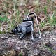 xtr950 349tp-umwerfer5