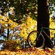 .. Herbst ..