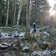 IMG 2449