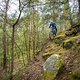 20250421-06 Schneebergrunde