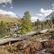 ©-TVB-Tiroler-Oberland-Nauders-Rudi-Wyhlidal-Jumpline-Goldseetrail-2024 (30)