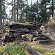 IMG 4896