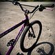 mongoose surly mullet
