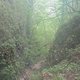 IMG 1473
