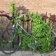 green-bike-lock-amsterdam