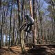 Bike Beerfelden P 295