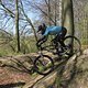 IMG 0583